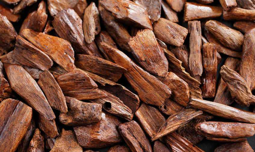 Oud: il fascino millenario di una fragranza intrigante